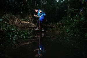 BIB: 
                            <button type="button" onclick="openModal(22473070)" class="btn btn-primary btn-sm float-right btn-popup" data-toggle="modal" data-target=".modal-high-quality">
                        <i class="fas fa-shopping-cart"></i> Add to Cart
                    </button>
                                            <button type="button" onclick="isThisMe(22473070, true)" class="btn btn-success btn-sm float-right btn-popup btn-isme hidden" data-toggle="tooltip" data-placement="bottom" title="นี่คือรูปของคุณใช่ไหม คลิกที่นี่เพื่อเอาเข้าอัลบั้ม">
                        <i class="fas fa-plus"></i> Add to album
                    </button>
                    <button type="button" onclick="isThisMe(22473070, false)" class="btn btn-warning btn-sm float-right btn-popup btn-isnotme hidden">
                        <i class="fas fa-ban"></i> Remove from album
                    </button>